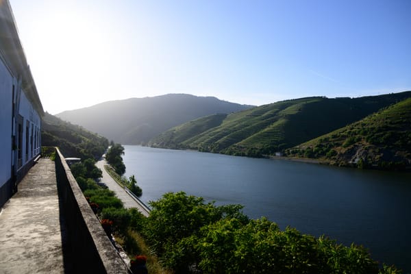 A Day in Douro